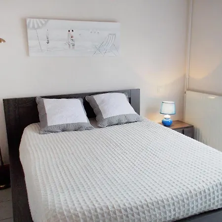 Holiday L'oree Du Parc Tatil Evi *